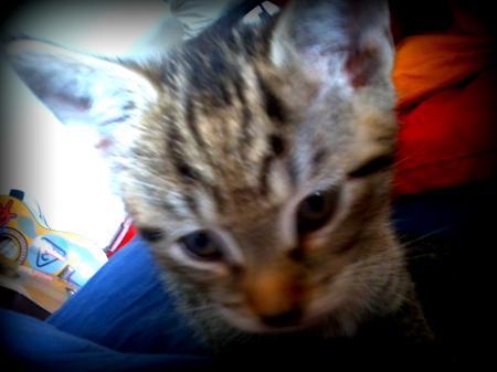 Bild zu 