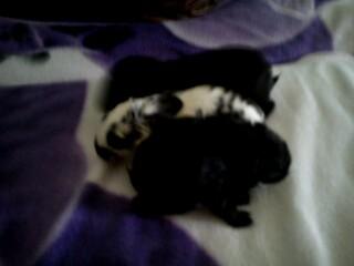 Bild zu 