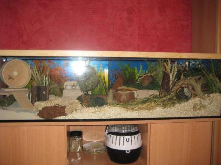 Bild zu 