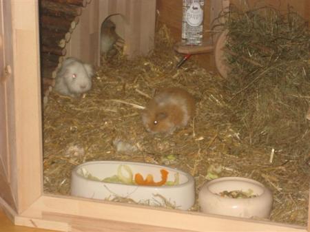 Bild zu 