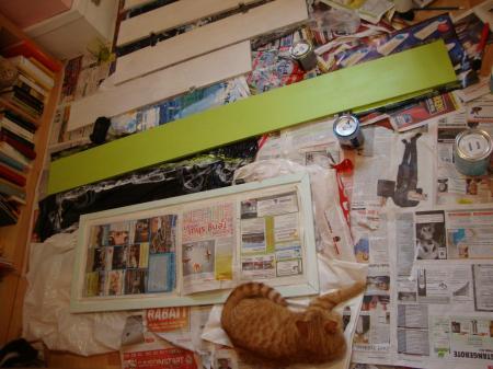 Bild zu 