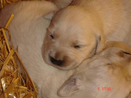 Bild zu 