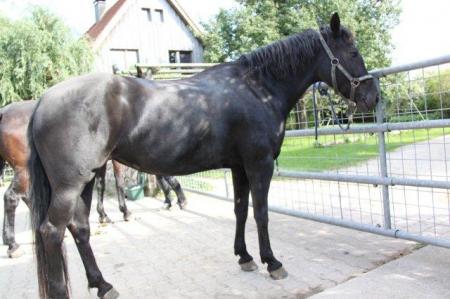 Bild zu 