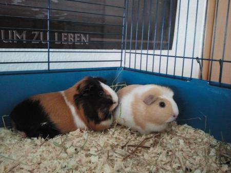 Bild zu 