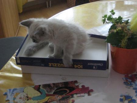 Bild zu 