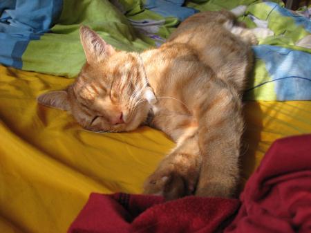 Bild zu