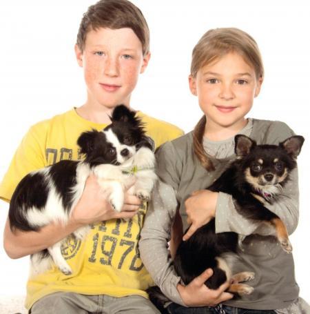 Bild zu 
