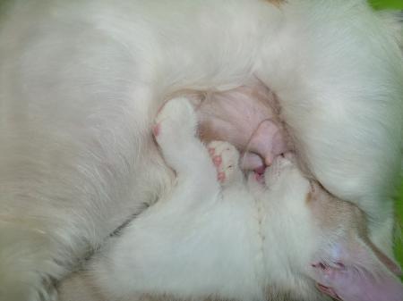 Bild zu 