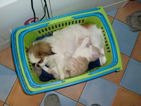 Bild zu 