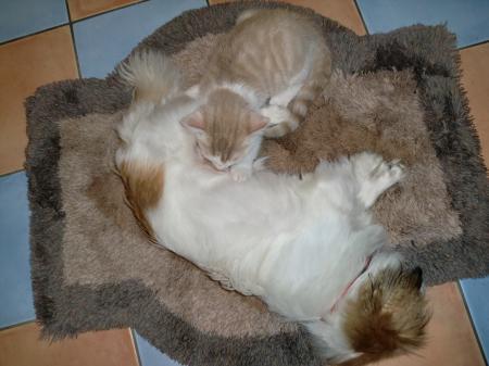 Bild zu 