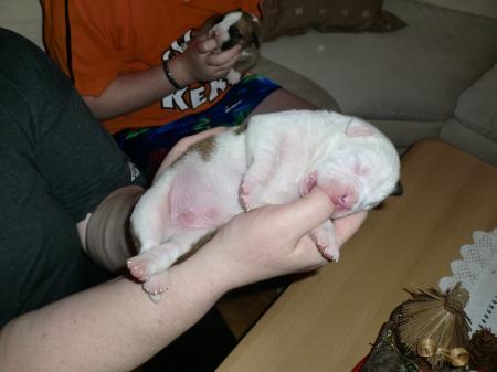 Bild zu 