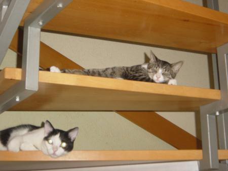 Bild zu 