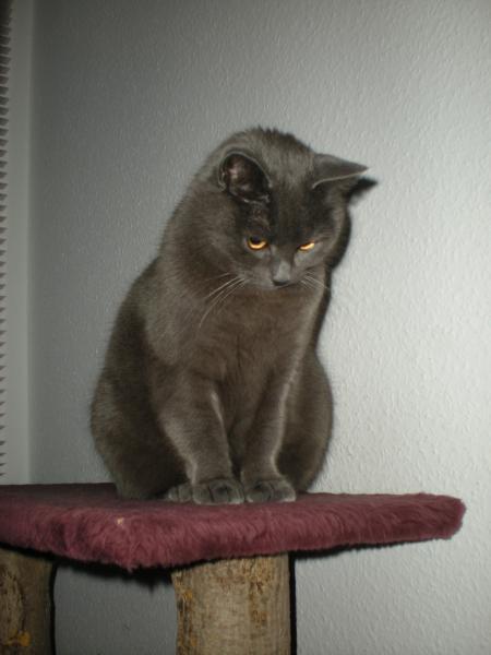Bild zu