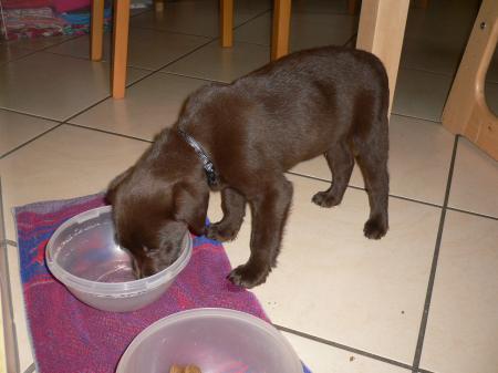 Bild zu 