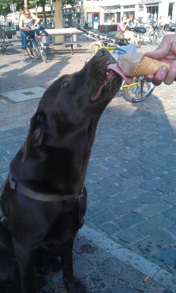 Bild zu 
