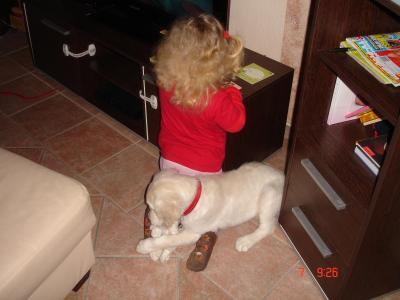Bild zu Frage an alle Hundekenner-bzgl.Kind und Hund...habe mal Fotos gemacht... - Haustiere