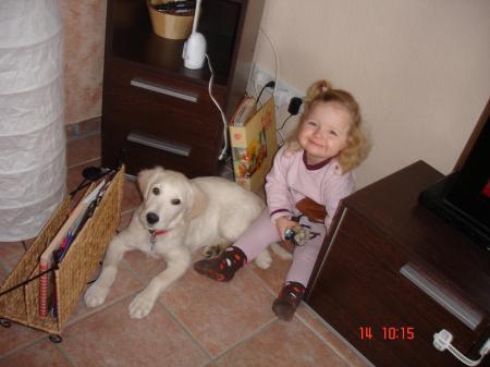 Bild zu