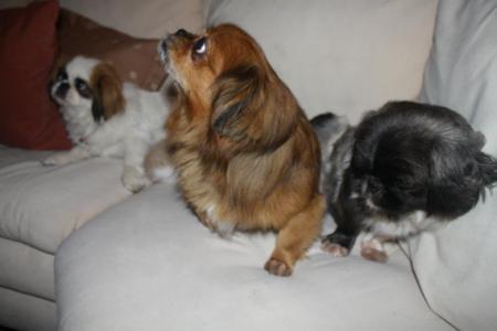 Bild zu
