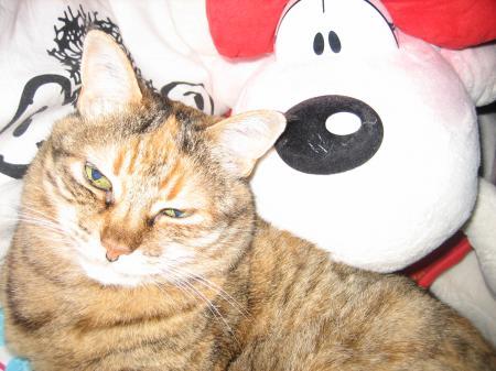 Bild zu