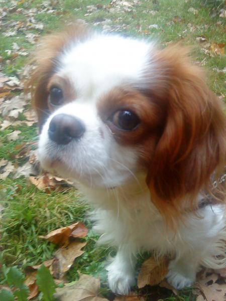 Bild zu
