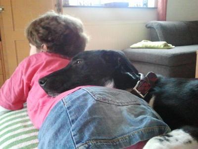 Bild zu Ein Kind-und-Hund-Foto. - Haustiere