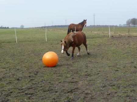 Bild zu 