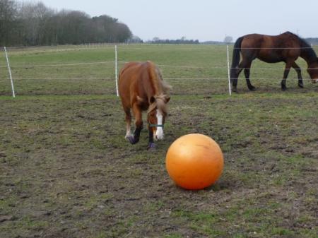 Bild zu 