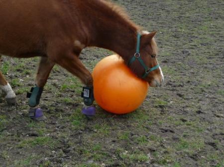 Bild zu 
