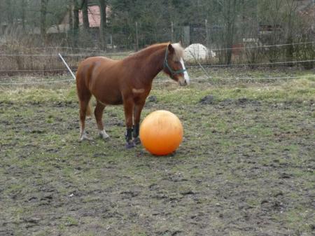 Bild zu 