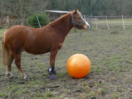 Bild zu 