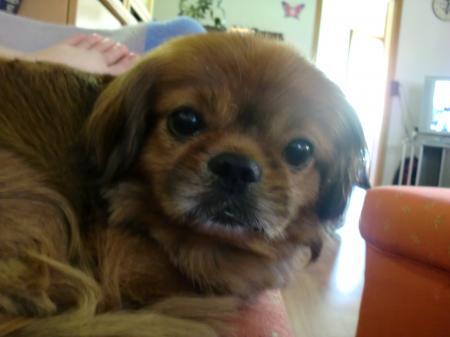 Bild zu