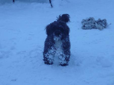 Bild zu