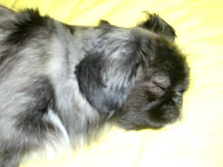 Bild zu 