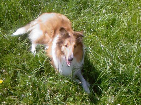 Bild zu 