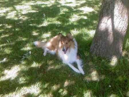 Bild zu 