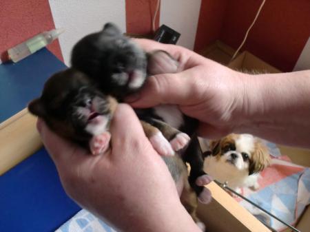 Bild zu 