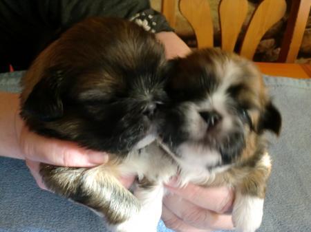 Bild zu 
