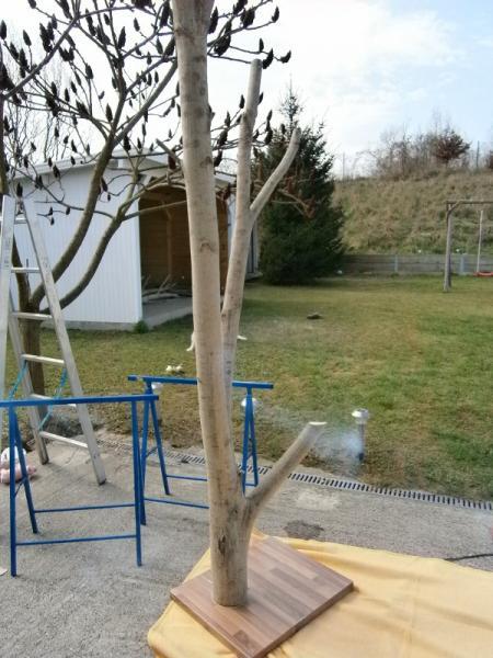 Bild zu