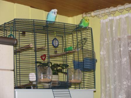 Bild zu 