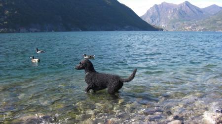 Bild zu