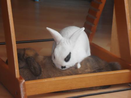Bild zu