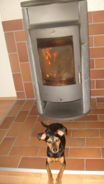 Bild zu