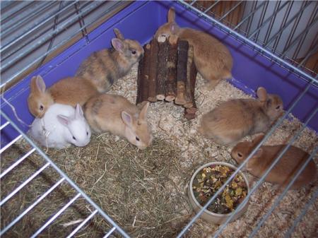 Bild zu