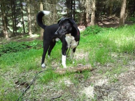 Bild zu 