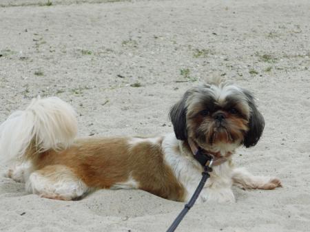Bild zu 