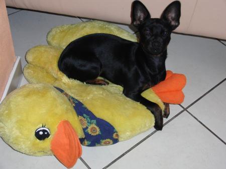 Bild zu