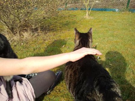 Bild zu