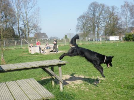 Bild zu