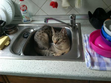 Bild zu