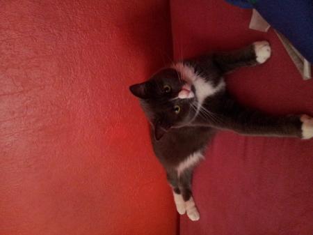 Bild zu 